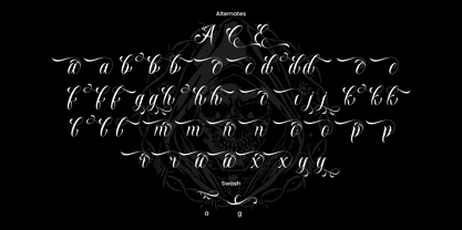 Nocthane Font Poster 9