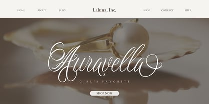Dellatino Font Poster 5