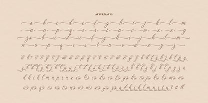 Dellatino Font Poster 12