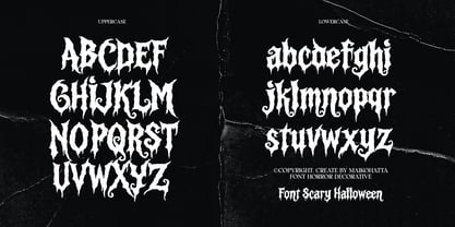 Crayens Font Poster 2