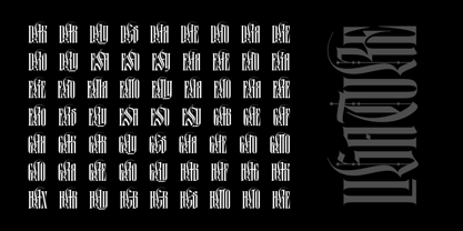 Black Letterfly Font Poster 15