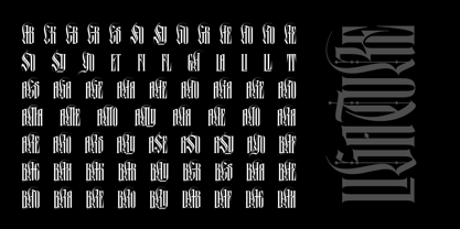 Black Letterfly Font Poster 13