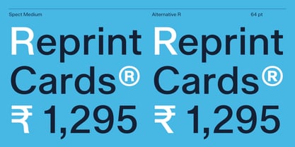 Spect Font Poster 7