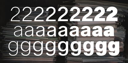 Spect Font Poster 6