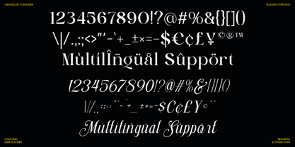 Stylish Harmony Font Poster 10