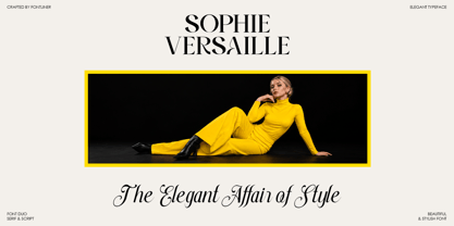 Stylish Harmony Font Poster 8