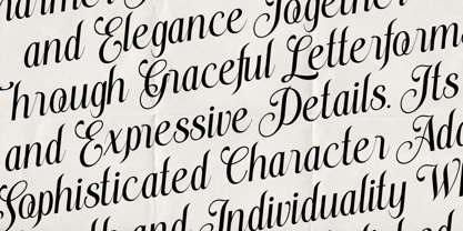 Stylish Harmony Font Poster 2