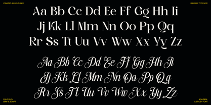 Stylish Harmony Font Poster 9