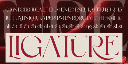 Wosh Font Poster 5