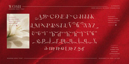 Wosh Font Poster 7
