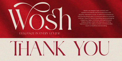 Wosh Font Poster 12