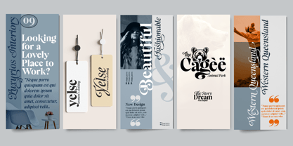 The Story Dream Font Poster 8