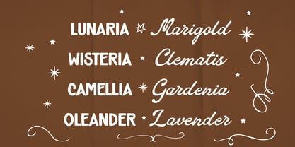 Crenville Fontage Font Poster 4