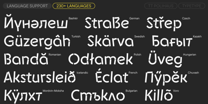 TT Polihaus Font Poster 7