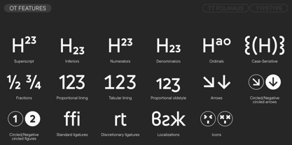 TT Polihaus Font Poster 12