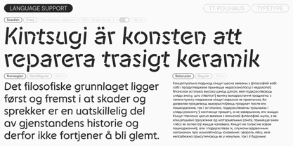 TT Polihaus Font Poster 8