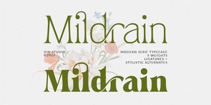 Mildrain Font Poster 1