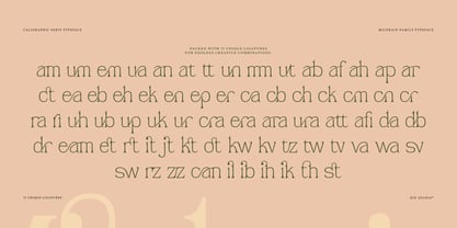 Mildrain Font Poster 7