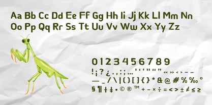 Pelan Motion Font Poster 4