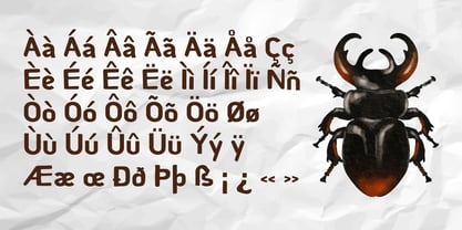 Pelan Motion Font Poster 5