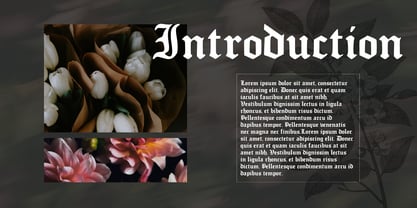 Murisa Fazio Font Poster 4