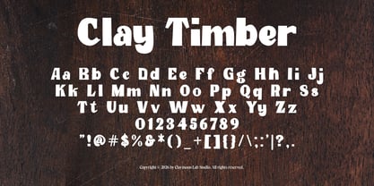 Clay Timber Font Poster 2