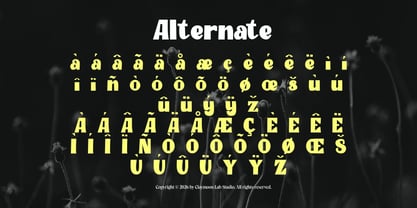 Clay Timber Font Poster 4