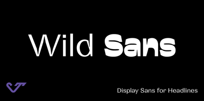Wild Title Sans Font Poster 1