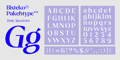 Bisteko Font Poster 12