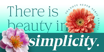 Aganote Typeface Font Poster 4