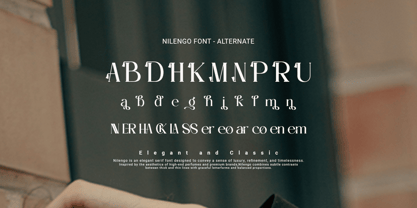 Nilengo Font Poster 4