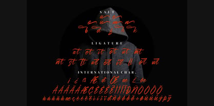 Zettosaid Font Poster 6