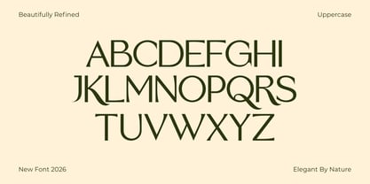 Biegva Font Poster 3