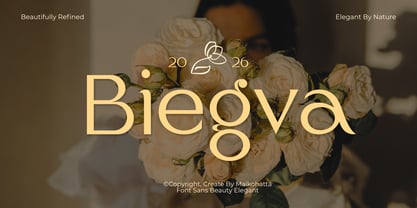 Biegva Font Poster 1