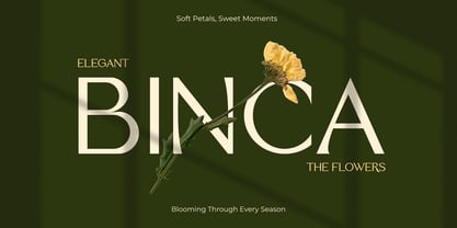 Biegva Font Poster 2