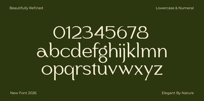 Biegva Font Poster 6