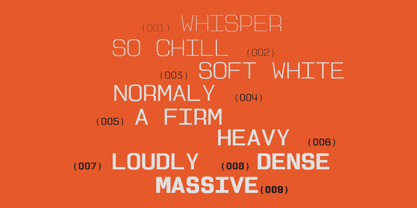 Anacute Font Poster 9