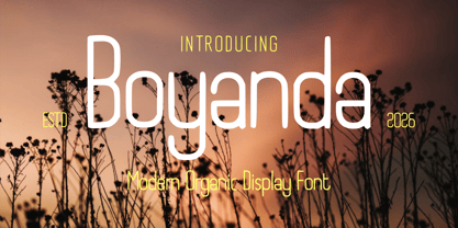 Boyanda Font Poster 1