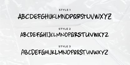 Straussy Package Font Poster 7