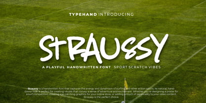 Straussy Package Font Poster 1