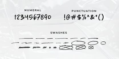 Straussy Package Font Poster 8