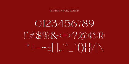 Mavero Font Poster 11