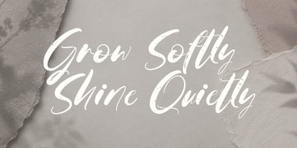 FafrelyAuntum Font Poster 5