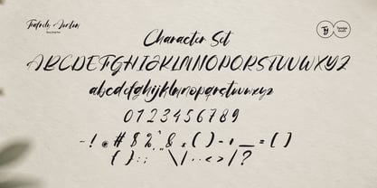 FafrelyAuntum Font Poster 2