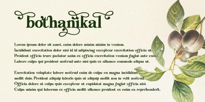 Kenshinton Font Poster 4