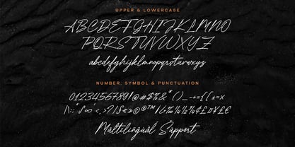 Showtilla Font Poster 5