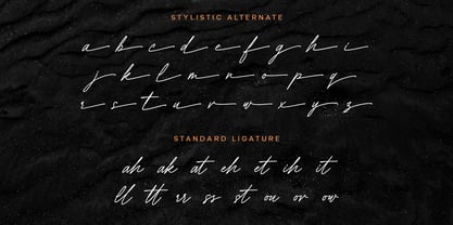 Showtilla Font Poster 6