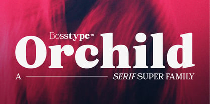 Orchild Serif Font Poster 1