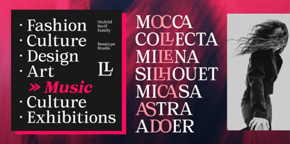 Orchild Serif Font Poster 2