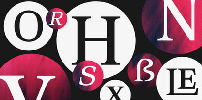 Orchild Serif Font Poster 6